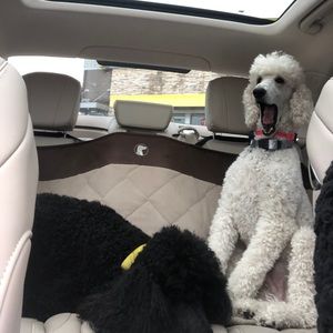 Meet your Posher, Karen